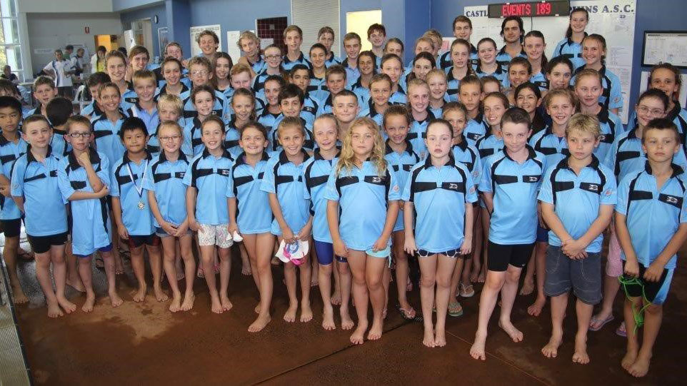 Dolphins Swim Club